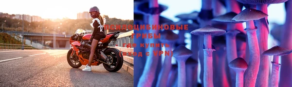 МДПВ Абинск